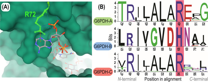 FIG 6