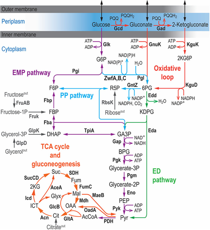 FIG 1