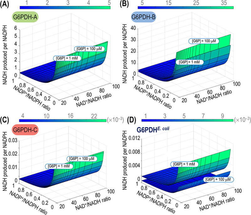 FIG 3