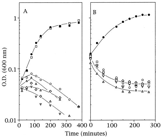 FIG. 5