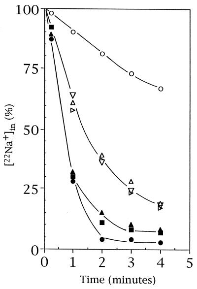 FIG. 6