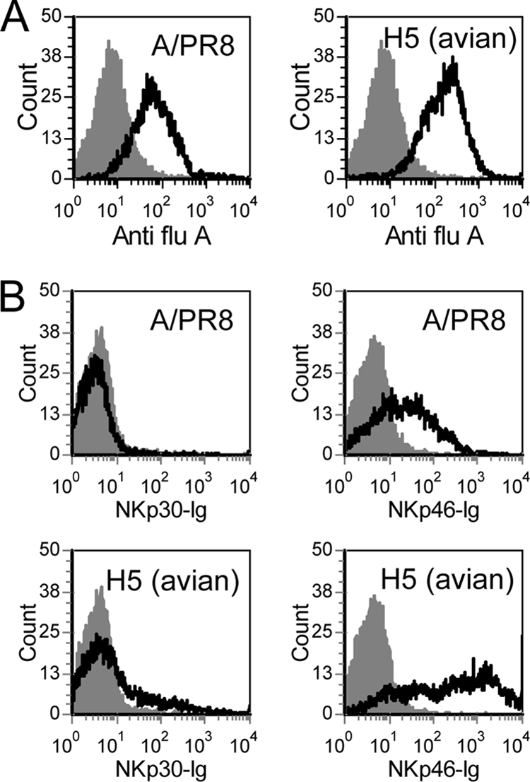 FIG. 1.