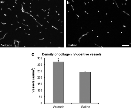 FIG. 7.