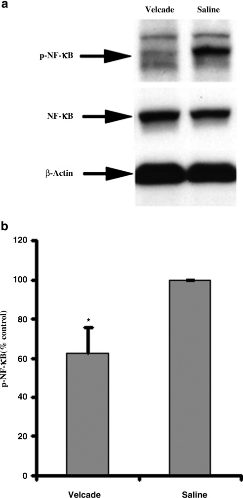 FIG. 9.