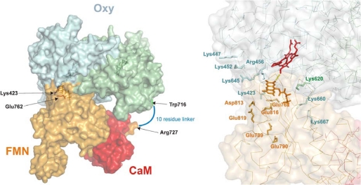 FIGURE 7.