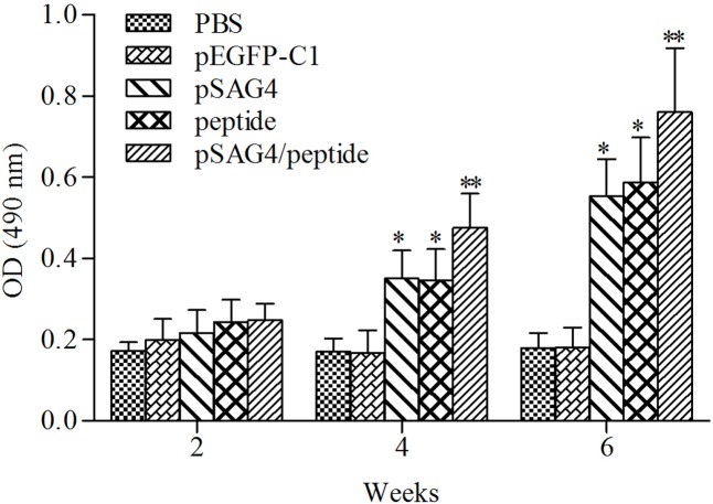 FIGURE 4