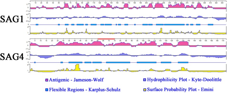 FIGURE 1