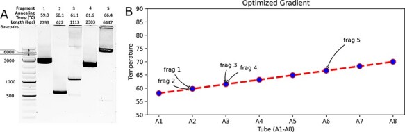 Figure 2.