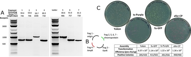 Figure 5.