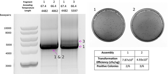 Figure 4.