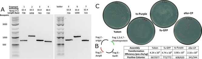 Figure 3.