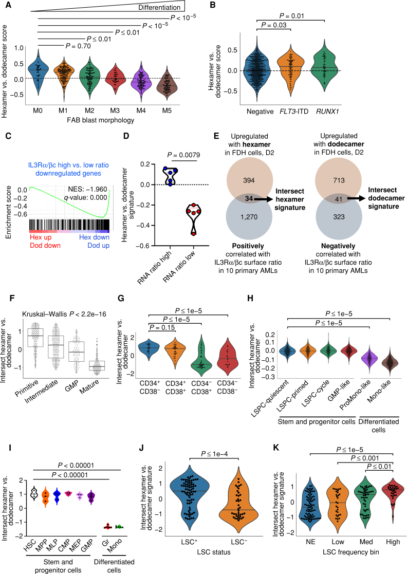 Figure 6. Higher IL3Rα/βc ratios bias hexamer signaling to promote leukemia stemness programs. A, GSVA showing hexamer versus dodecamer signature enrichment in AML FAB subtypes [The Cancer Genome Atlas (TCGA), Beat AML, and Leucegene; refs. 25, 26, 57]. B, GSVA plot showing enrichment of the hexamer vs. dodecamer signature in FLT3-ITD– and RUNX1-mutant AML patients (Beat AML and TCGA; refs. 25, 26). Dod, dodecameric; Hex, hexameric; NES, normalized enrichment score. C, GSEA plot showing downregulated genes from IL3Rα/βc-high transcript ratio AML patient samples are enriched in the downregulated genes in the hexamer gene signature. D, Hexamer vs. dodecamer signature GSVA scores in the immunophenotypically characterized primary AML patient samples with high (indicated in blue) and low (indicated in red) IL3Rα/βc transcript ratio (Toronto cohort). E, Schematic for generation of the intersect hexamer and dodecamer gene signatures linking IL3Rα/βc cell-surface protein ratio and hexamer vs. dodecamer signaling. F, GSVA demonstrating the enrichment of the intersect hexamer vs. dodecamer signature in AML patient samples with primitive cellular hierarchy (32). G, GSVA plot showing enrichment of the intersect hexamer vs. dodecamer signature in more primitive fractions (as defined by CD34 CD38 expression) from primary AML patient samples (n = 110 RNA-seq; ref. 32). H, GSVA plot showing enrichment of the intersect hexamer vs. dodecamer signature in stem and progenitor cells in the leukemia cellular hierarchy (32, 35). I, Enrichment of the intersect hexamer vs. dodecamer signature in more primitive sorted populations from CB (36, 37). CMP, common myeloid progenitors; GMP, granulocyte-monocyte progenitors; Gr, granulocytes; HSC, hematopoietic stem cells; MEP, megakaryocyte-erythroid progenitors; MLP, multilymphoid progenitors; Mono, monocytes; MPP, multipotent progenitors. J, The intersect hexamer vs. dodecamer signature (GSVA) is enhanced in LSC+ (engrafting) over LSC− (nonengrafting) fractions (32). K, Enrichment of the intersect hexamer vs. dodecamer signature in patients with higher LSC frequency compared with nonengrafting (NE) fractions (20).