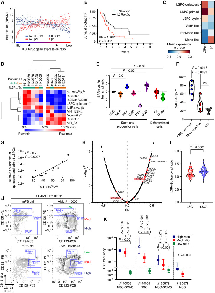 Figure 1. Divergent IL3Rα and βc expression preferentially occurs at the apex of the hematopoietic cell hierarchy and is linked to poor patient survival in AML. A, IL3Rα and βc gene expression ratio in 451 de novo normal karyotype patients with AML, as shown in reads per kilobase per million mapped reads (RPKM; Beat AML; ref. 26). Av, average. B, Kaplan–Meier overall survival curve for normal karyotype patients with AML comparing those with higher or lower than 1.1 ratio of IL3Rα/βc expression in The Cancer Genome Atlas cohort (n = 184; ref. 25). C, Single-cell gene expression of IL3Rα and βc across 11,641 single AML cells from 12 patients (35), with cell types annotated from (32). Mean gene expression is depicted for each AML cell type. D, Hierarchical clustering of primary AML patient samples with high (n = 5) and low (n = 5) IL3Rα/βc ratio [RNA sequencing (RNA-seq)] combining transcriptional (*; RNA-seq) and immunophenotypic (flow cytometry) profiling in the Toronto cohort. E, IL3Rα and βc gene expression in sorted and functionally validated immunophenotypic cellular fractions from CB (36, 37). CMP, common myeloid progenitors; GMP, granulocyte-monocyte progenitors; Gr, granulocytes; HSC, hematopoietic stem cells; MEP, megakaryocyte-erythroid progenitors; MLP, multilymphoid progenitors; Mono, monocytes; MPP, multipotent progenitors. F, Flow cytometric analysis for %IL3Rαhiβclo population of high (n = 5, blue) and low (n = 5, red) IL3Rα/βc transcript ratio AML patient samples (CD3−CD19−CD45+) in the Toronto cohort based on cell-surface IL3Rα and βc protein expression profiles. CB mononuclear cells (n = 3) and mobilized peripheral blood (mPB) mononuclear cells (n = 1) served as controls (ctrl). ns, not significant. G, Correlation of relative abundance of cells with quiescent and primed combined transcriptional phenotypes with %IL3Rαhi/βclo population in CD3−CD19−CD45+ cells with high and low IL3Rα/βc ratio (by RNA-seq) in the Toronto cohort by Pearson analysis. H, Spearman correlation between gene expression and LSC frequency from 88 AML fractions in which specific LSC frequencies were calculated by limiting dilution analysis (LDA) in xenograft assays (20, 38). IL3Rα (IL3RA) and βc (CSF2RB) are highlighted. I, IL3Rα/βc transcript ratio from 138 LSC+ (engrafting) and 82 LSC− (nonengrafting) fractions (20). J, Sorting gates for xenotransplanted high/medium (med)/low IL3Rα/βc ratio (CD123 vs. CD131) fractions for patient sample AML#140005 and AML#130578 are shown pregated for viable (SytoxBlue−) and CD45+CD3−CD19− cells and in relation to an in parallel stained G-CSF mobilized peripheral blood control sample (mPB ctrl) from a healthy donor. K, LSC frequencies of high/med/low IL3Rα/βc ratio fractions from AML#140005 and AML#130578 xenotransplanted in limiting dilution into NSG-SGM3 and NSG mice as estimated from CD45+CD33+ engraftment (>0.1%) at 7 to 8 weeks after transplantation (see also Supplementary Fig. SIQ). Due to low cell numbers retrieved, the low-ratio fraction of AML#130578 was transplanted only into NSG-SGM3. Open triangle and dotted error bar line indicate an estimated 1/LSC frequency and upper limit of 1. Upper and lower estimated limit (error bars) and P values as calculated by ELDA.