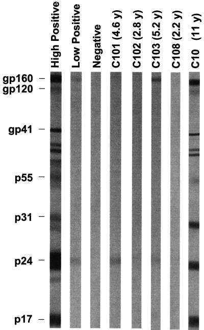 FIG. 5.