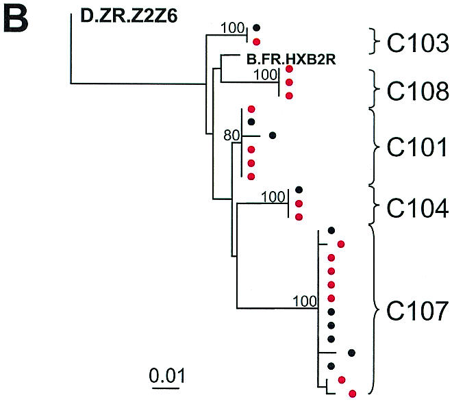 FIG. 3.