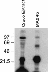 FIG. 9