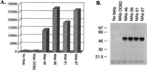 FIG. 6