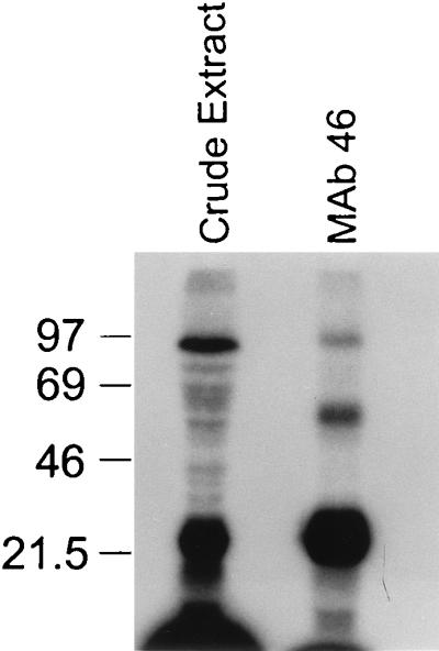 FIG. 9