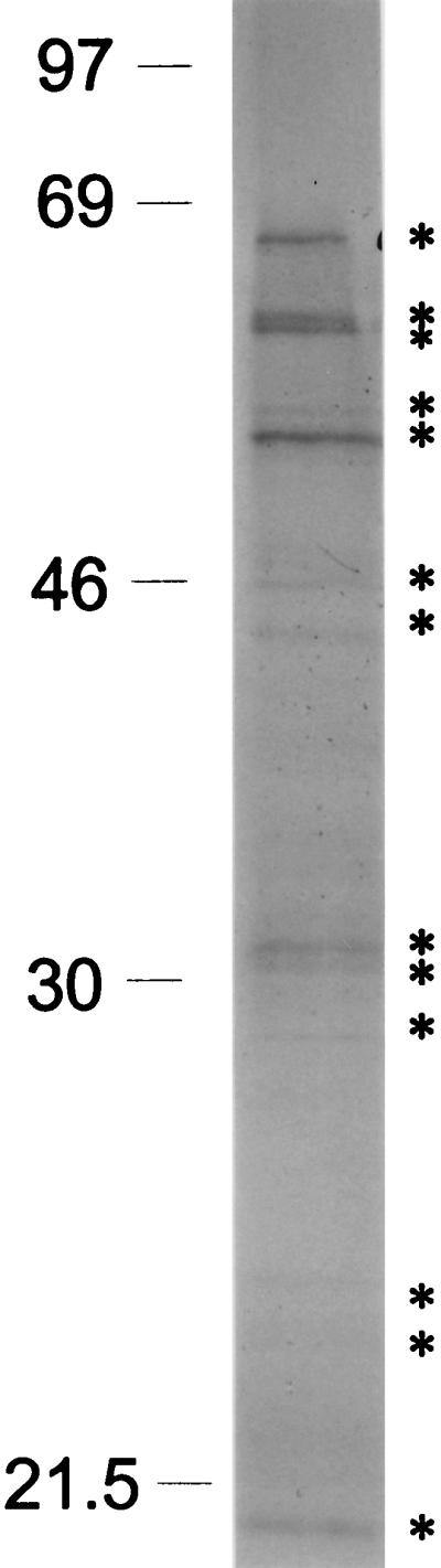 FIG. 8