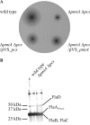 FIG. 7.