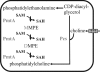 FIG. 1.