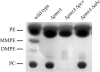 FIG. 5.