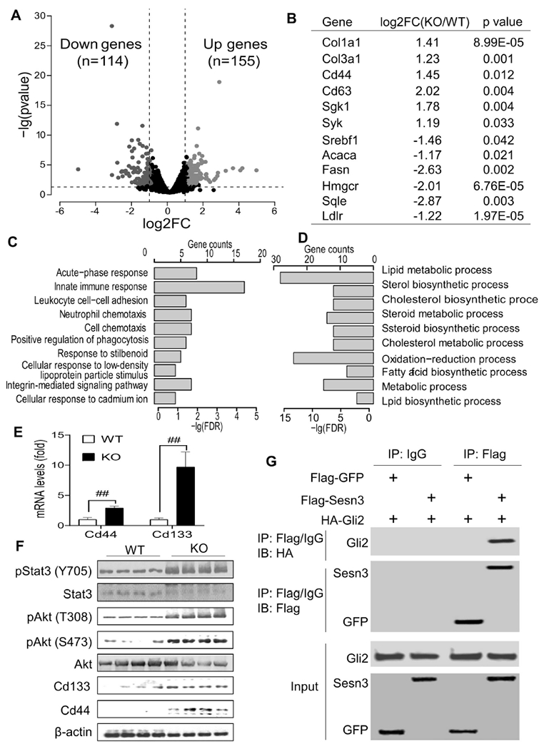 Fig 3.