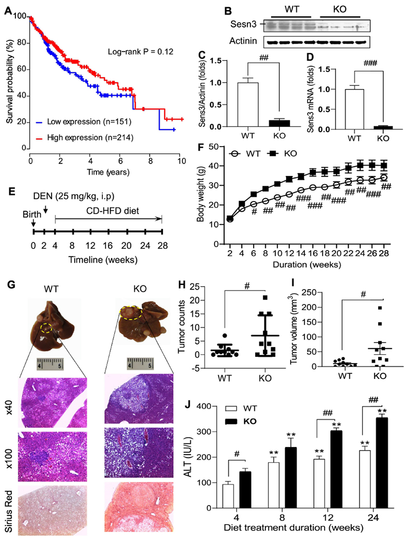 Fig 1.