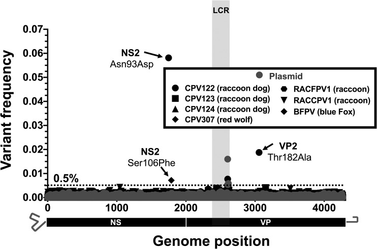 FIG 6