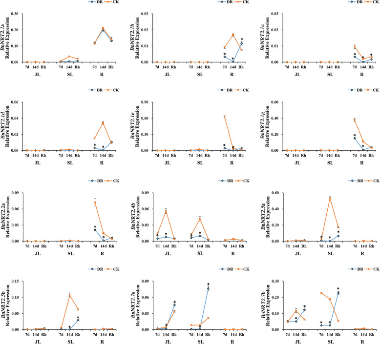 Fig. 7