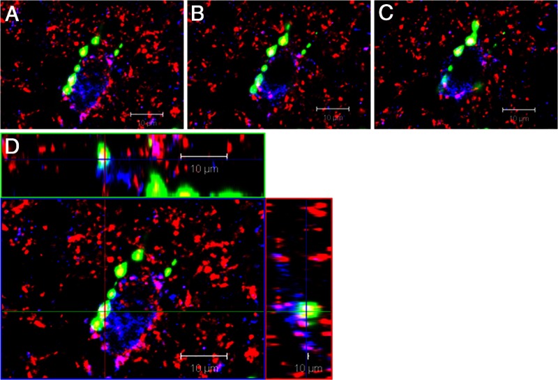 Figure 3.