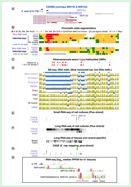 Figure 5. 