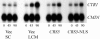 FIG. 9.