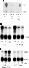 FIG. 6.