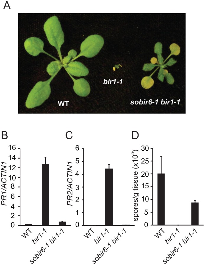 Fig 3