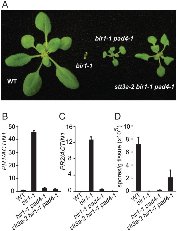 Fig 4