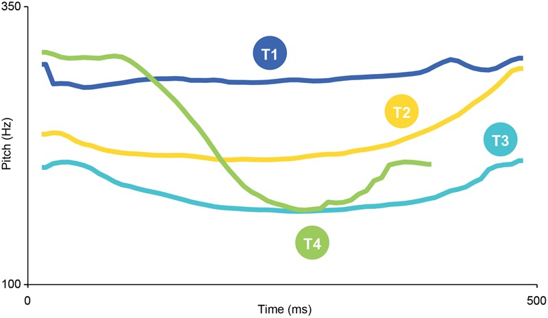 FIGURE 1