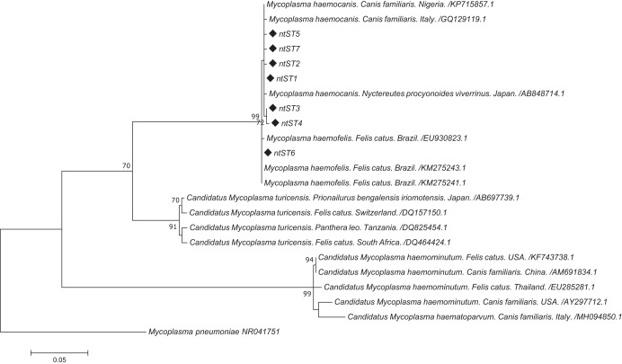 FIG 2