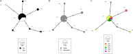 FIG 3
