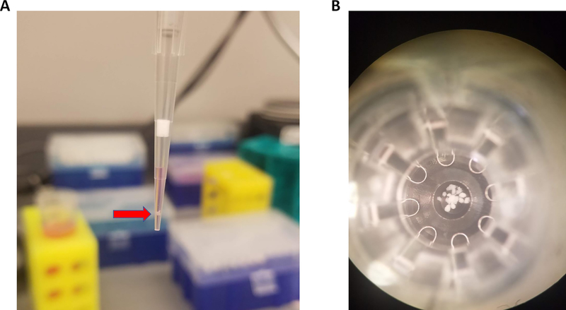 Figure 1: