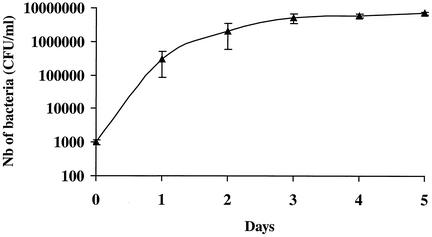 FIG. 1.