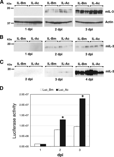 FIG. 6.