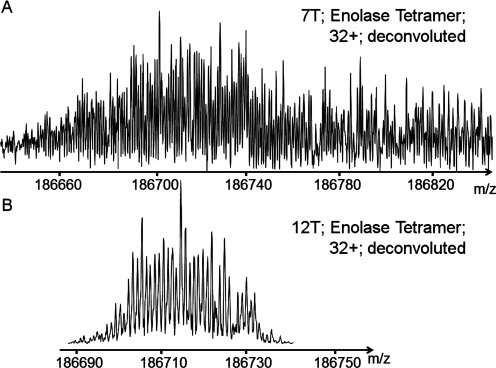 Fig. 6. Mass-spectra of isotopically resolved protein. FT-ICR cell with dynamic harmonization lab prototype version used (top) 7 T; (down) 12 T.