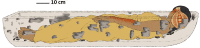 Fig 7