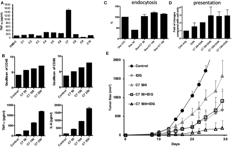 Figure 6