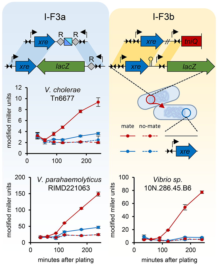 Figure 7 -