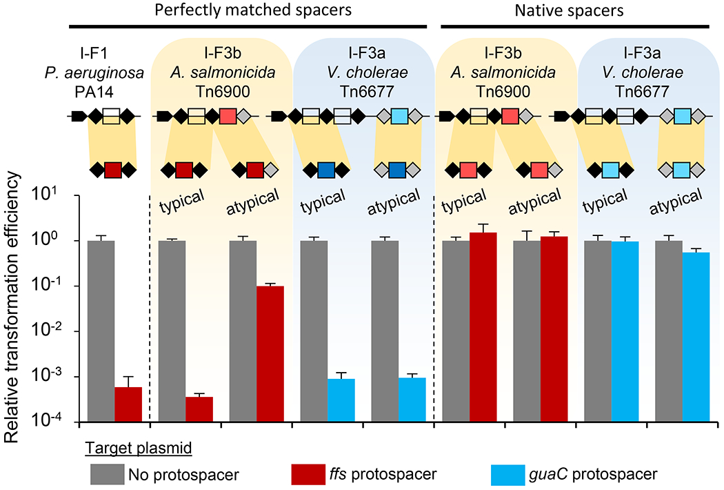 Figure 5 –