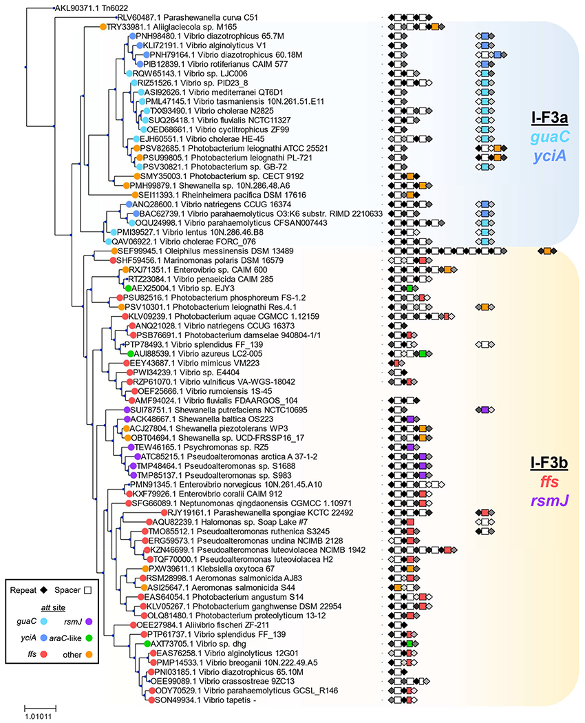 Figure 1 -