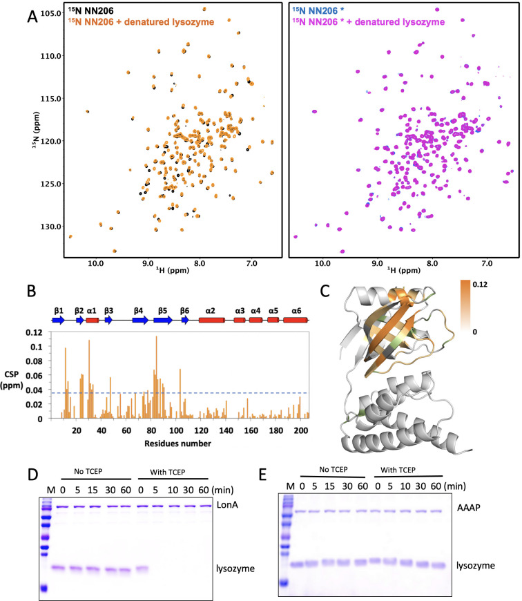 Figure 3—figure supplement 5.