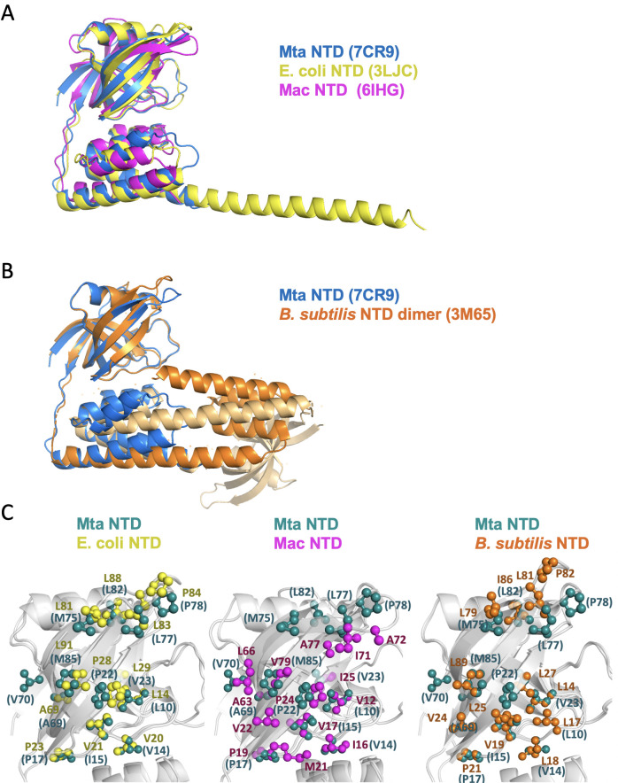 Figure 6—figure supplement 1.